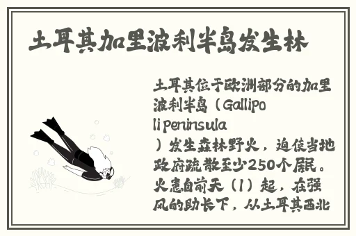 麻豆av一区二区天美传媒的最新资讯